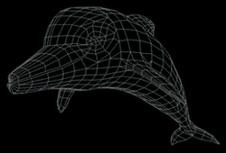 Wire Frame Dolphin